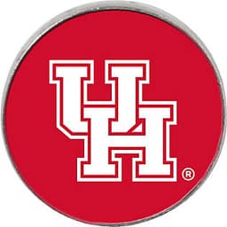 Bachelor of Business Administration in Management Information Systems at University of Houston